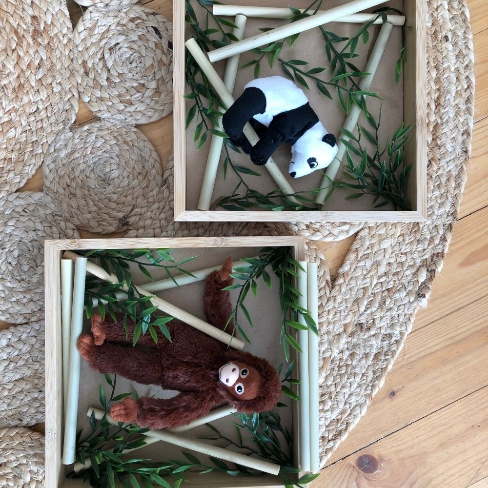 IKEA Hack Dschungel Deko mit IKEA RIBBA Bilderrahmen IKEA Hack Dschungel Deko mit IKEA RIBBA Bilderrahmen