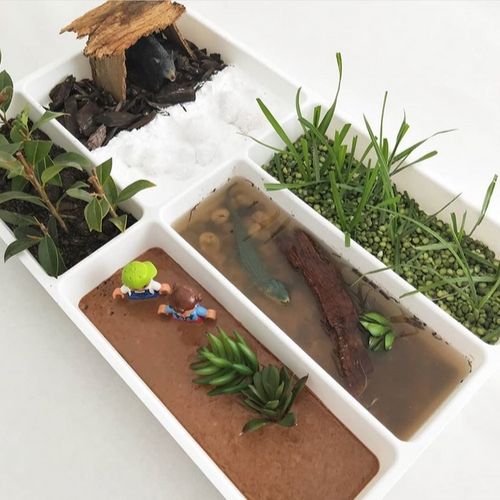 Stoedja hack Sumpf Stoedja hack Sumpf