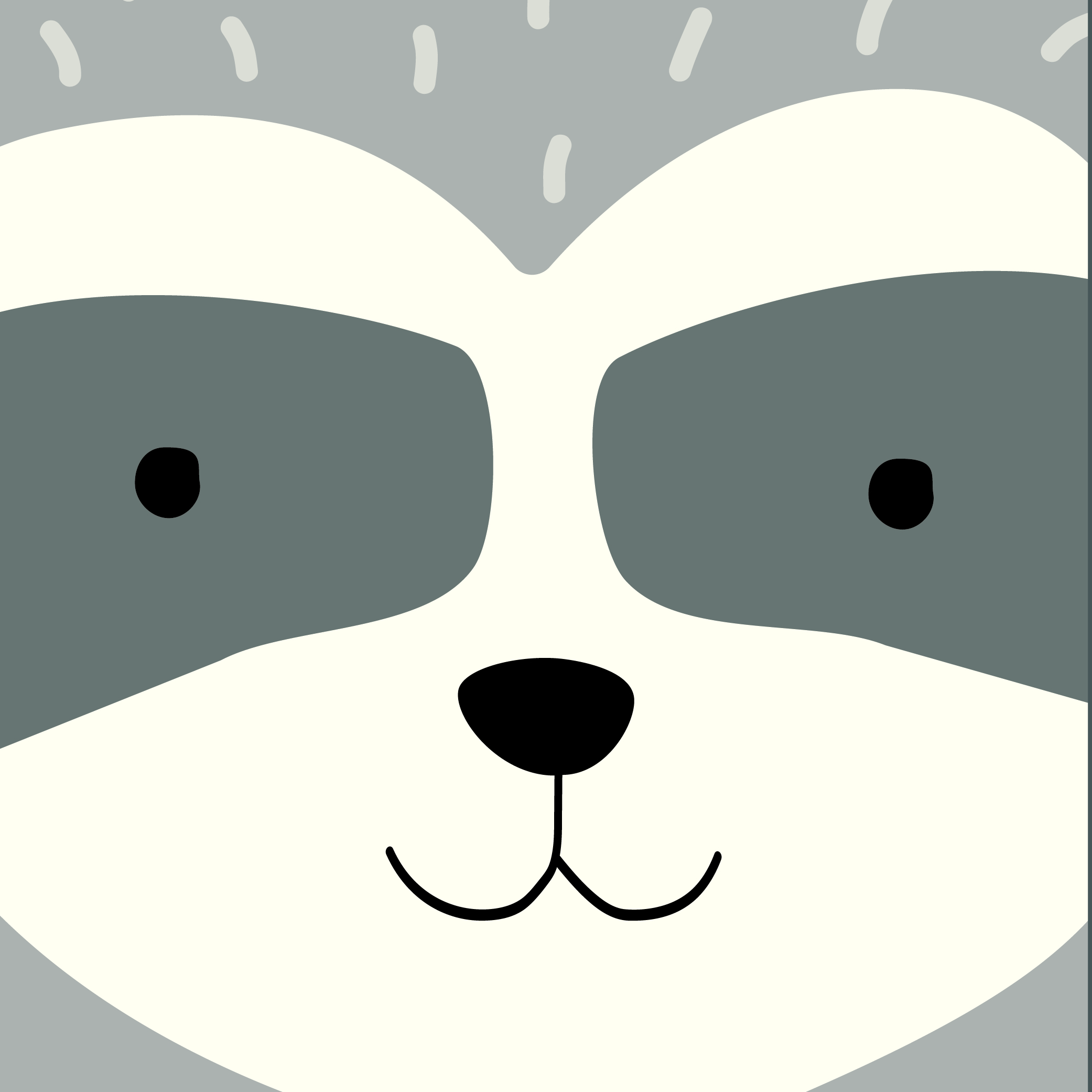 Waschbär