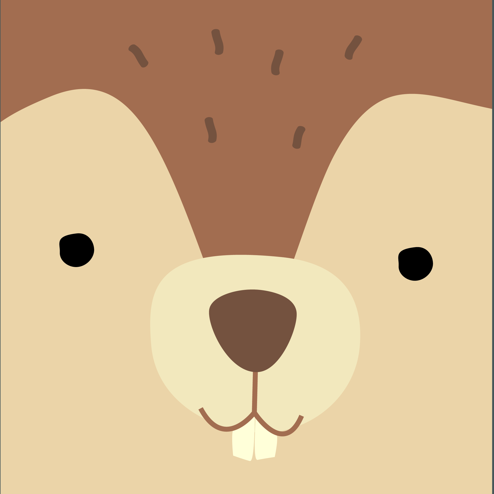 Eichhörnchen